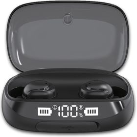 TWS True Bluetooth 5.0 Wireless Earbuds with 2000mAh Charging Case (Color: Black|White)
